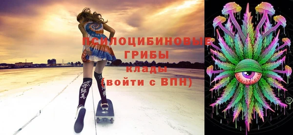 экстази Бородино